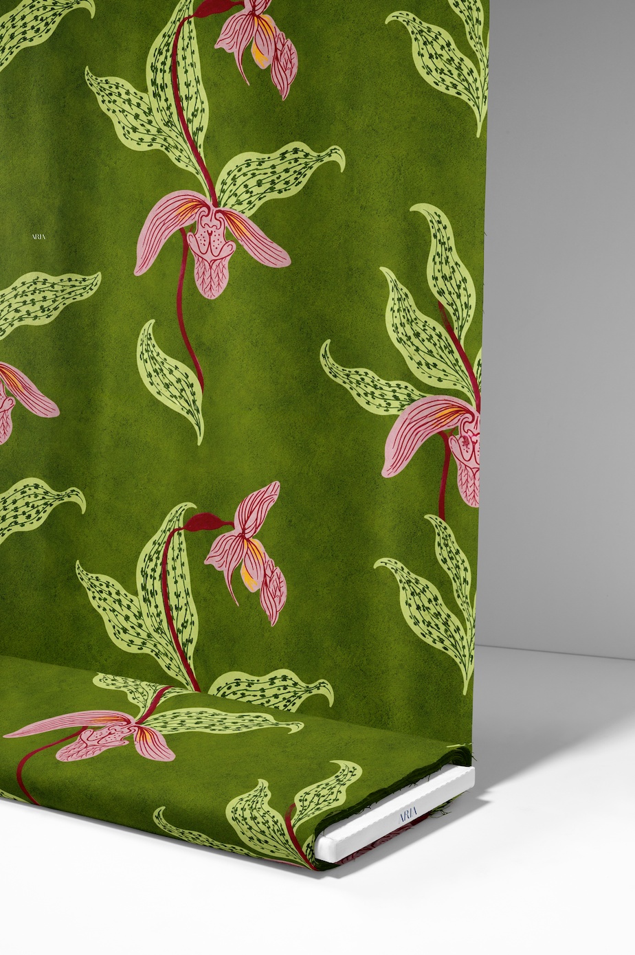 Olive Orchid